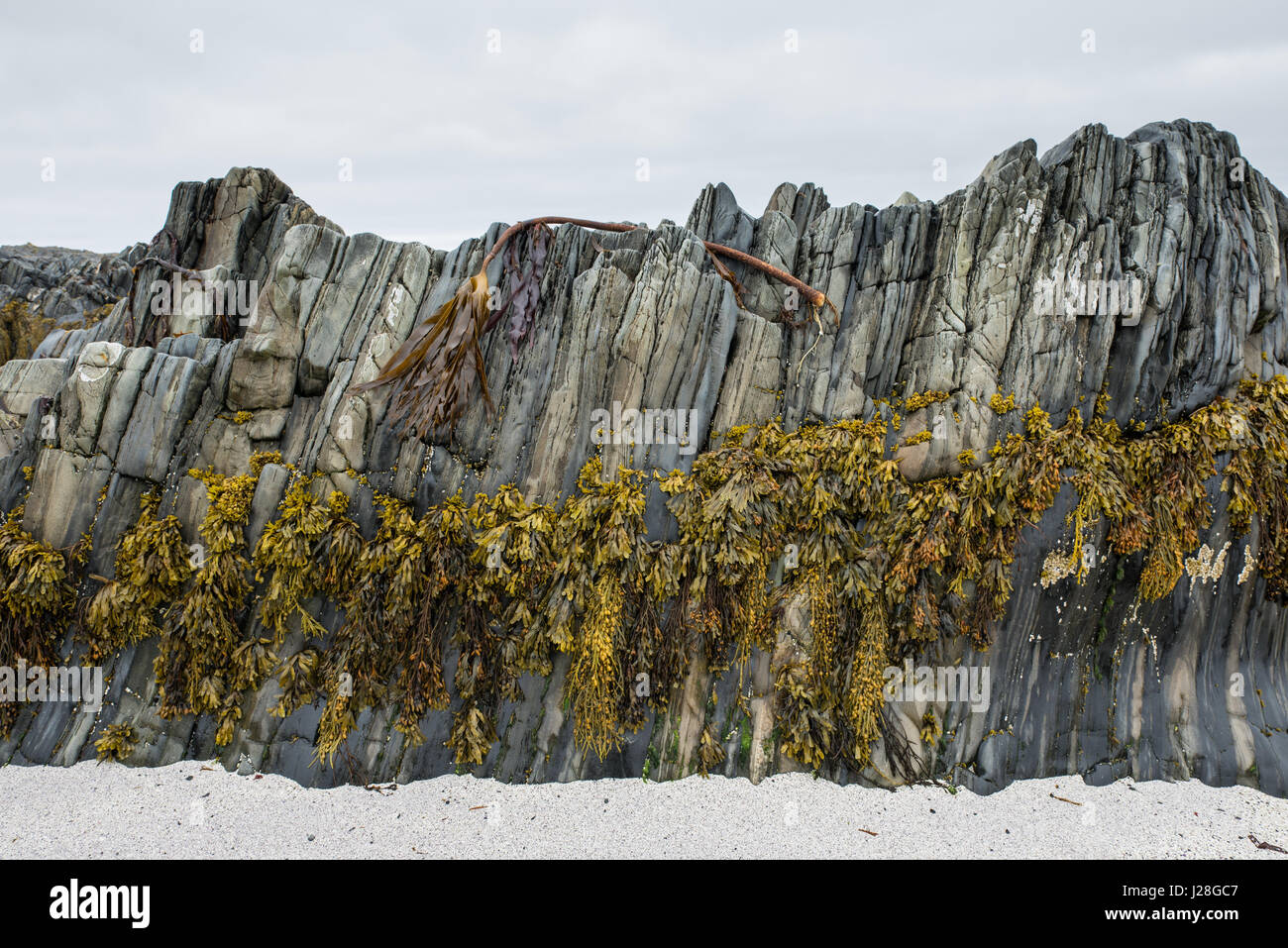 Norvegia, Finnmark, Gamvik, soffiando sulle spiagge a Slettnes Foto Stock