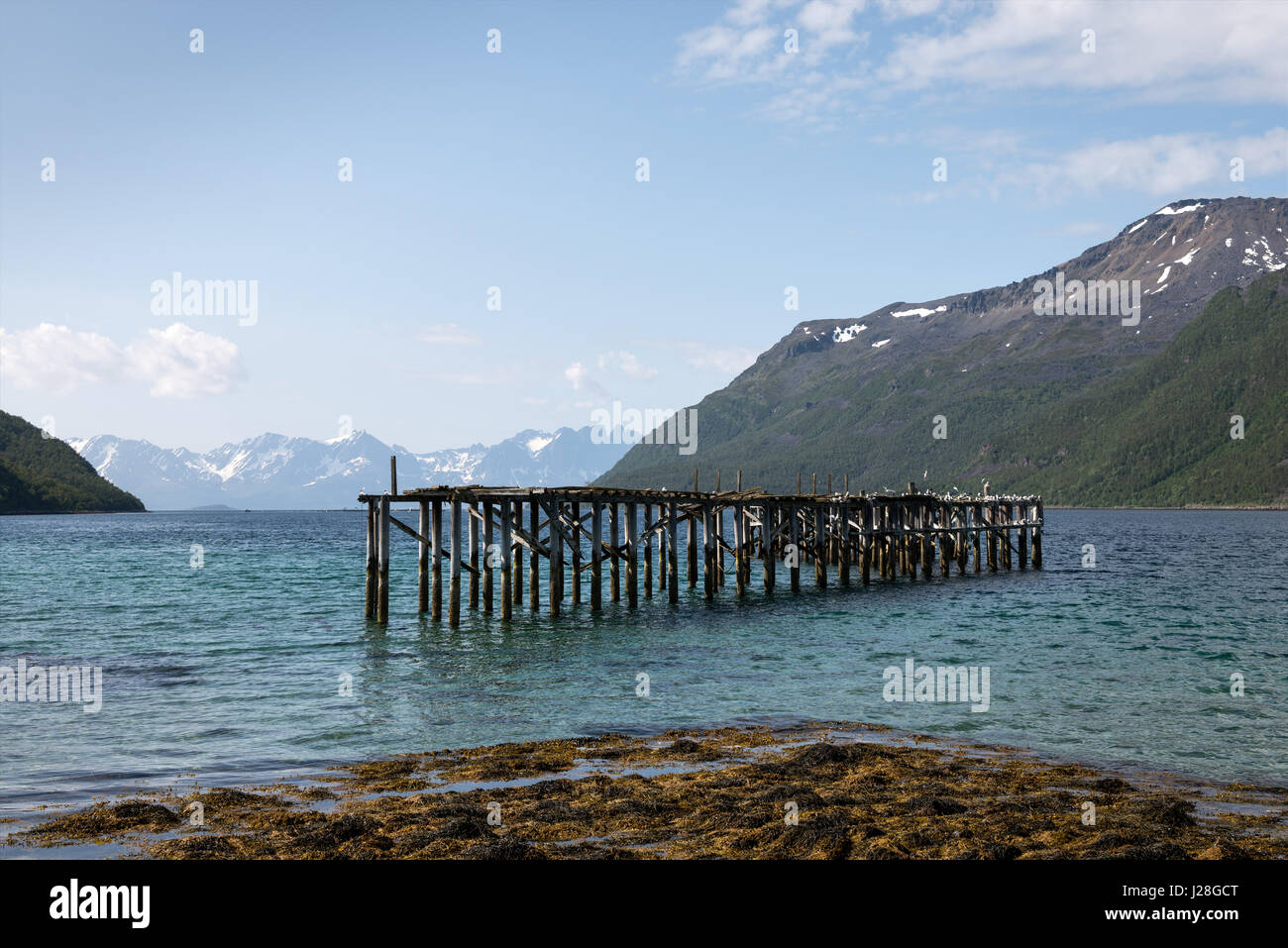 Norvegia, Troms, Kvaenangen kommune, vecchio investitore sulla Burfjord vicino Alteidet, all'orizzonte la Kvaenangensfjellet Foto Stock