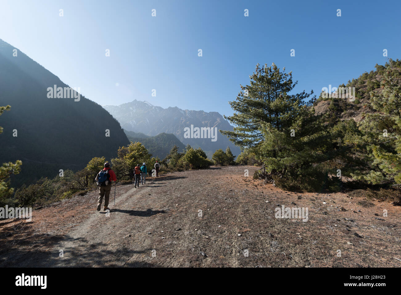 Il Nepal, Regione Occidentale, Pisang, sul circuito di Annapurna - Giorno 4 - Da Chame per abbassare Pisang - Grandi Vedute Foto Stock