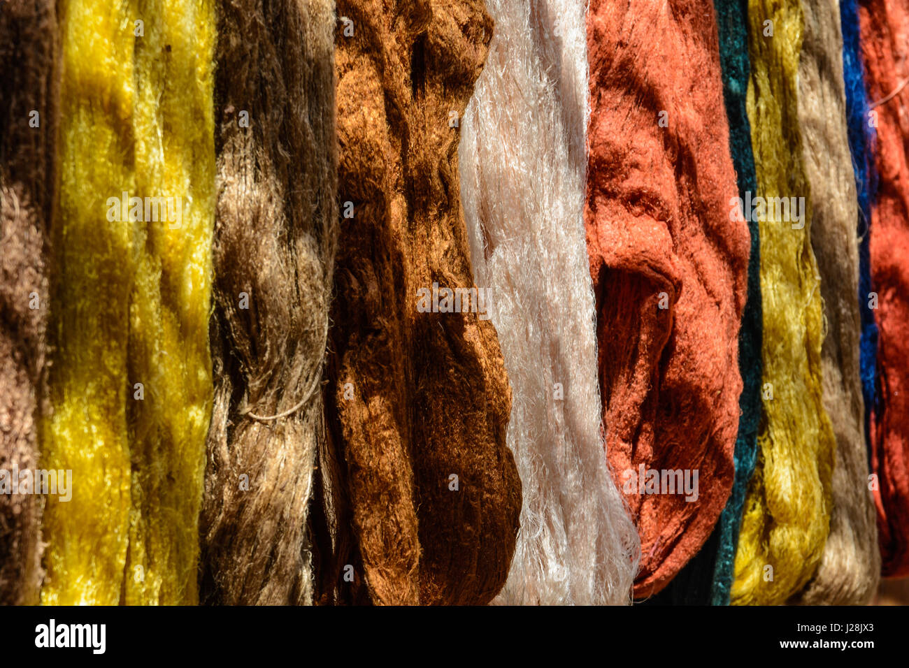 Uzbekistan, Xorazm Provincia, Xiva, tessitori di seta che tinti processo di seta naturale Foto Stock