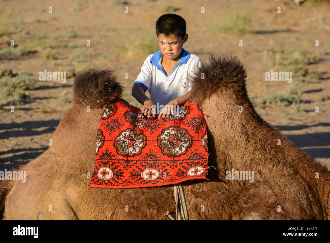 Uzbekistan, Nurota tumani, figlio del driver del cammello. Il cammello-driver sono mongola, il kazako-parlando kazaki Foto Stock