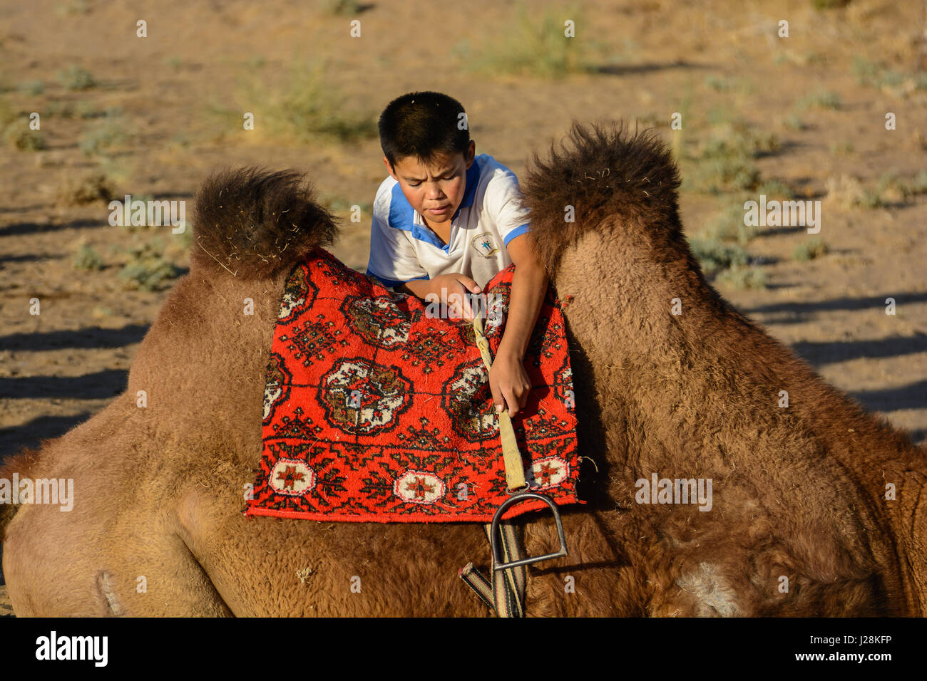 Uzbekistan, Nurota tumani, figlio del driver del cammello. Il cammello-driver sono mongola, il kazako-parlando kazaki Foto Stock