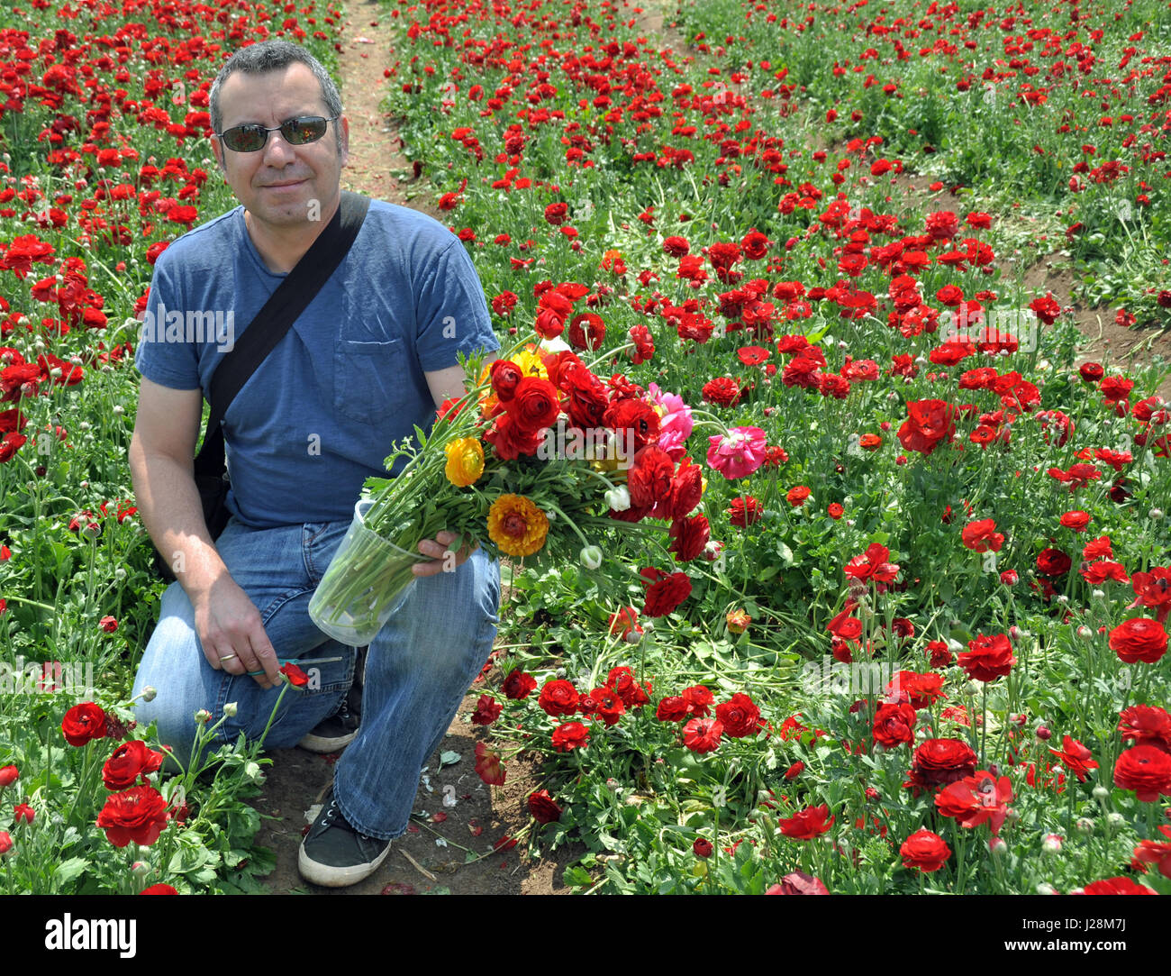 Un uomo con un mazzo di fiori, Israele. Foto Stock