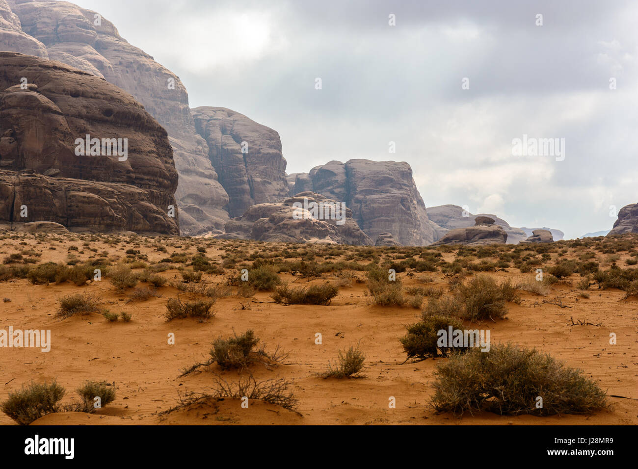 Giordania, Aqaba Gouvernement, Wadi Rum, un deserto altopiano nel sud della Giordania. UNESCO Patrimonio Naturale dell'umanità. Ubicazione del film 'Lawrence d'Arabia' Foto Stock