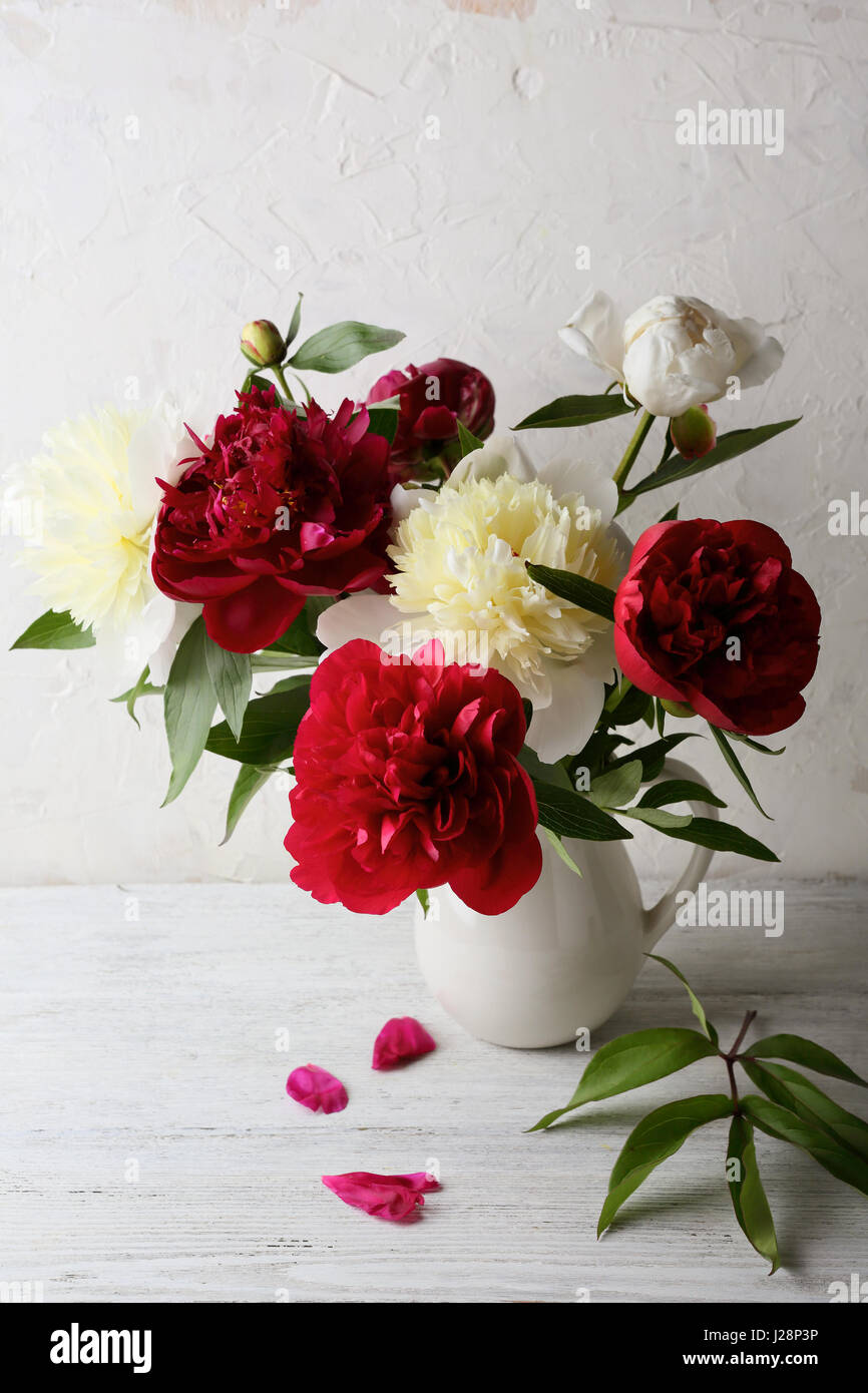 Il bianco e il rosso dei fiori in vaso bianco, fiori closeup Foto Stock