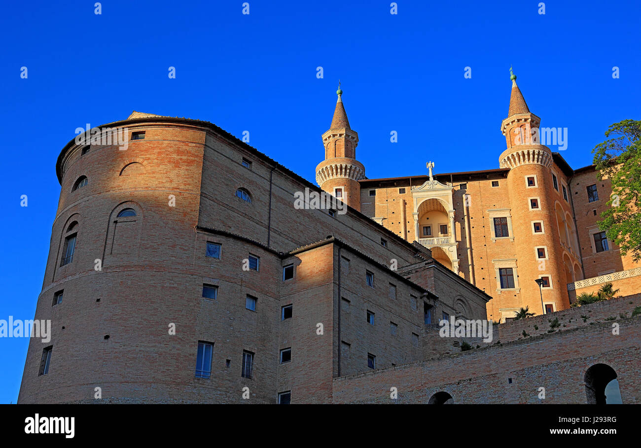 Palazzo Ducale, Palazzo Ducale, palazzo rinascimentale, Urbino, Marche, Italia Foto Stock