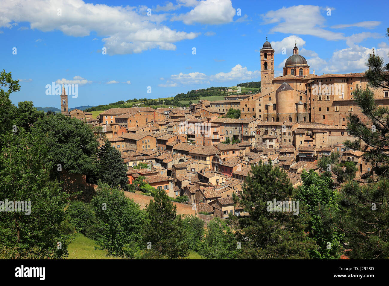 Vista di Urbino con il Palazzo Ducale e il Palazzo Ducale e la Cattedrale, Marche, Italia Foto Stock