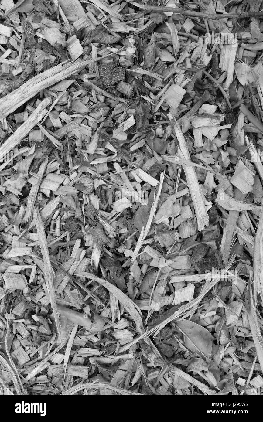 Corteccia e foglie e trucioli di legno di telone come astratta grossolana texture di sfondo Foto Stock