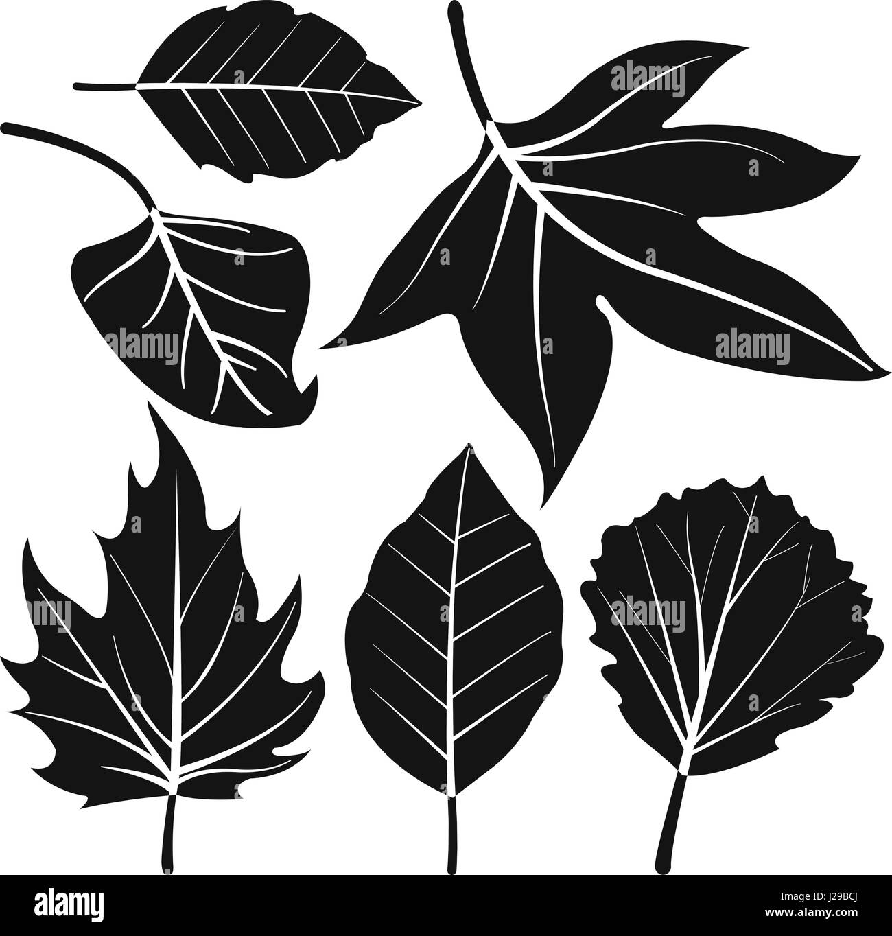 Set di foglie d'albero in bianco e nero. Foglie autunnali di acero, betulla e quercia. Silhouette a foglia Forest Fall. Illustrazione vettoriale Illustrazione Vettoriale