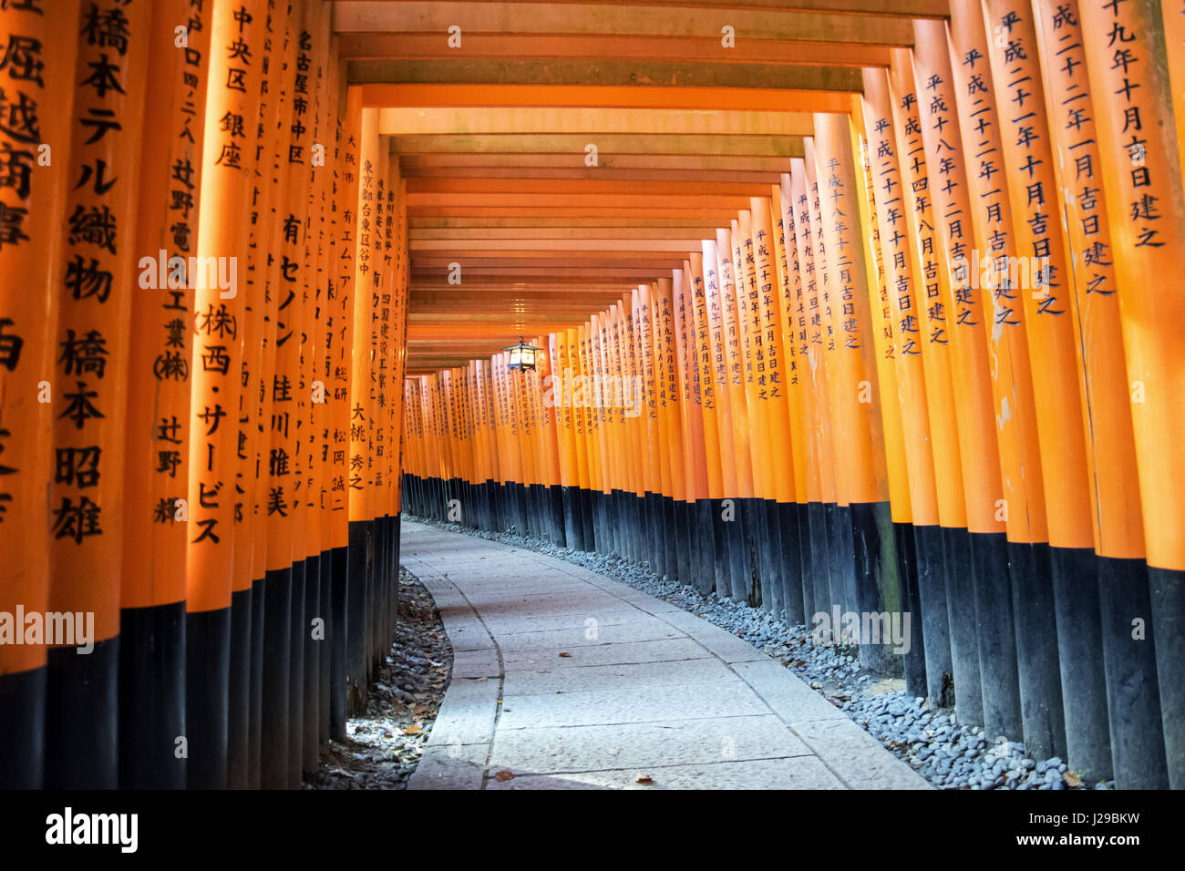 Torii gates in Fushimi Inari Shrine, Kyoto, Giappone Foto Stock