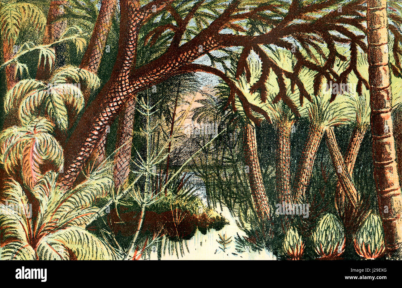 Una foresta dal Carbonifero era. Dal mondo delle fondazioni o la Geologia per principianti, pubblicato 1883. Foto Stock