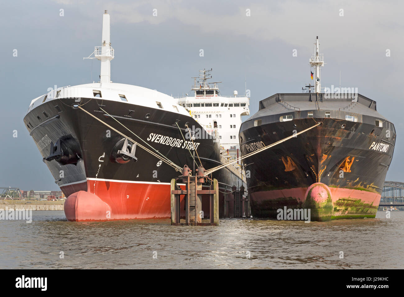 Delle navi nel porto di Amburgo ancorato in rada a Norderelbe, Amburgo, Germania, Euroe Foto Stock