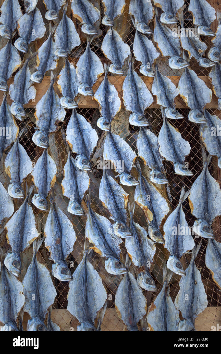 Pesce di essiccazione al sole sulla spiaggia di Nazare, Oeste, Distrikt Leiria, Portogallo, Europa Foto Stock
