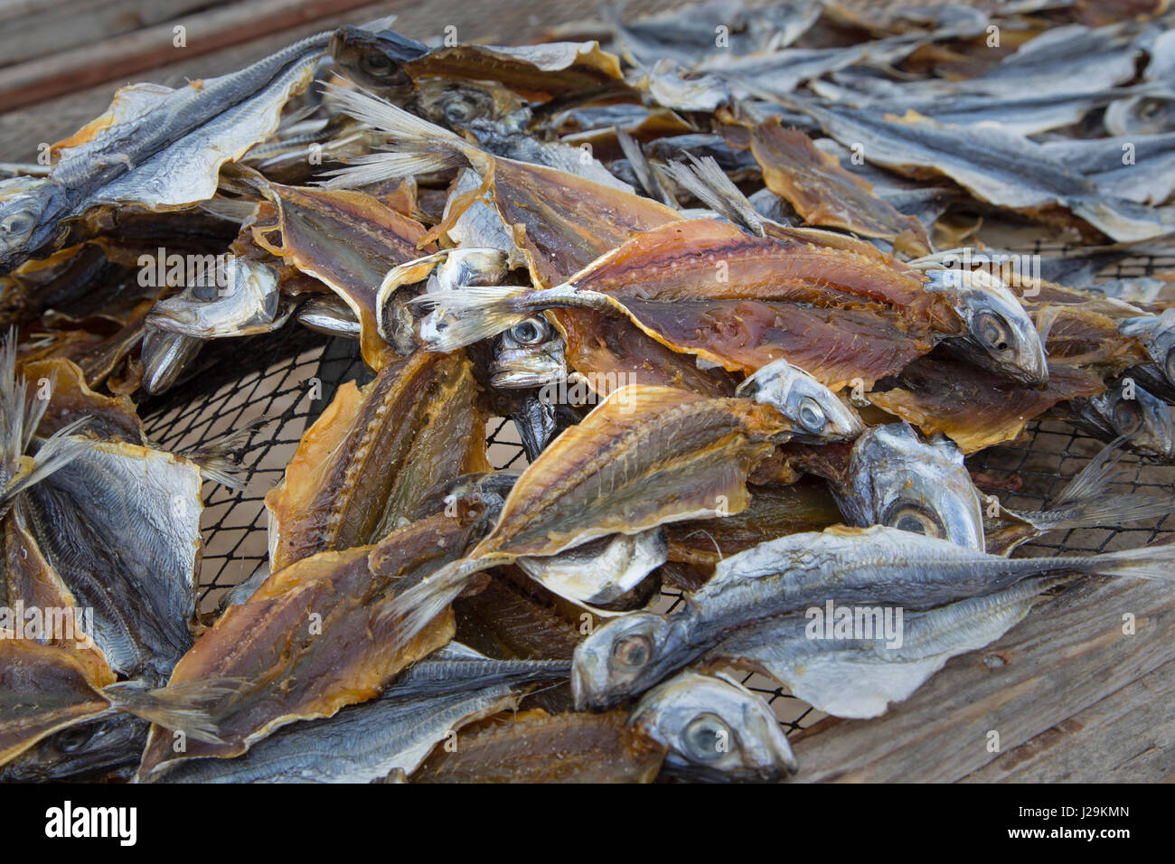 Pesce di essiccazione al sole sulla spiaggia di Nazare, Oeste, Distrikt Leiria, Portogallo, Europa Foto Stock