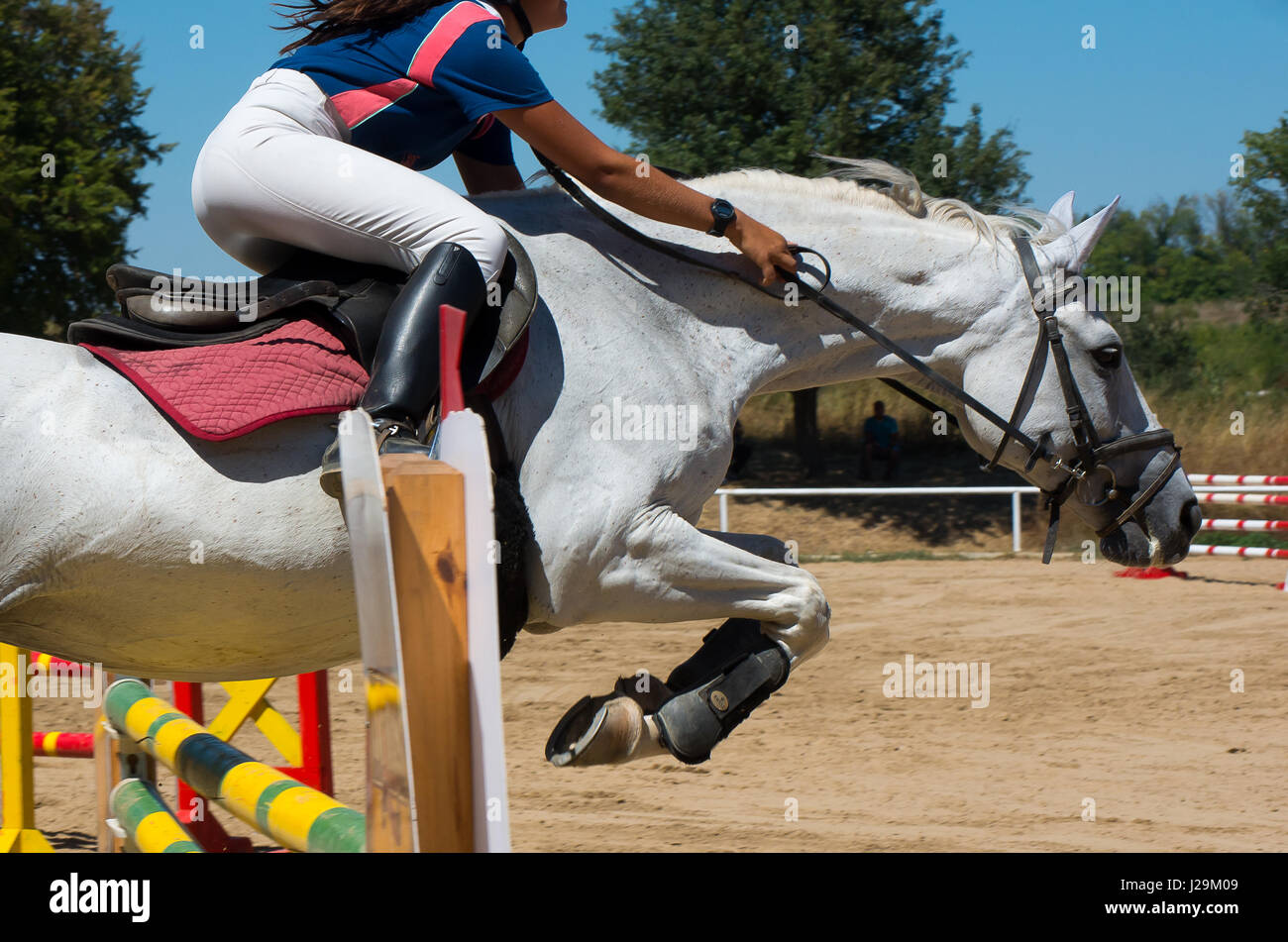 Donna salta sopra gli ostacoli a cavallo. Passeggiate a cavallo Foto Stock