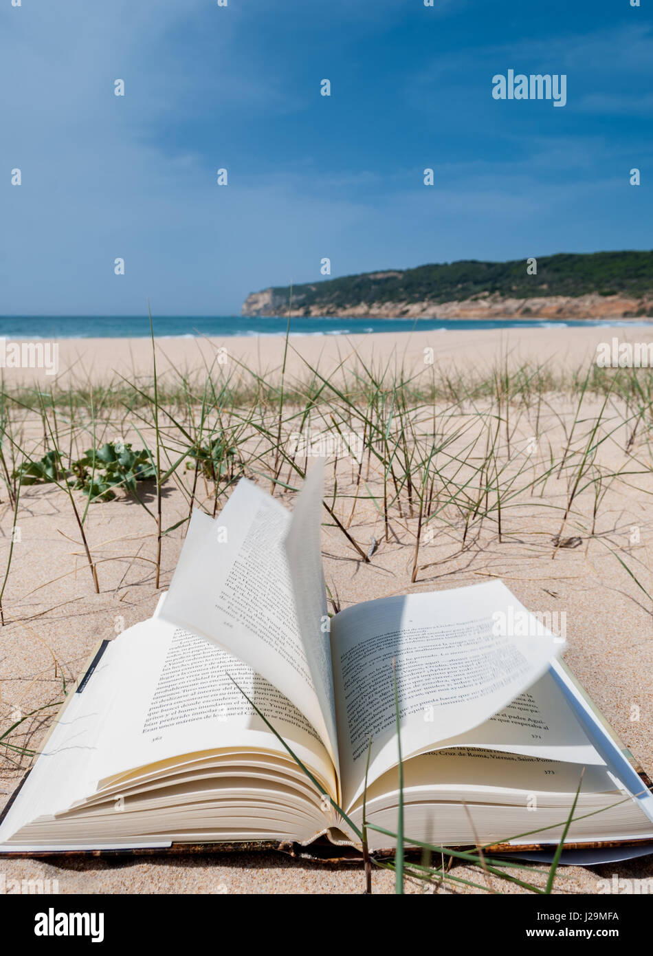 Libro aperto sulla spiaggia di sabbia bianca con il mare e la scogliera sul background. Prendere in Cádiz, Andalucía, Spagna Foto Stock