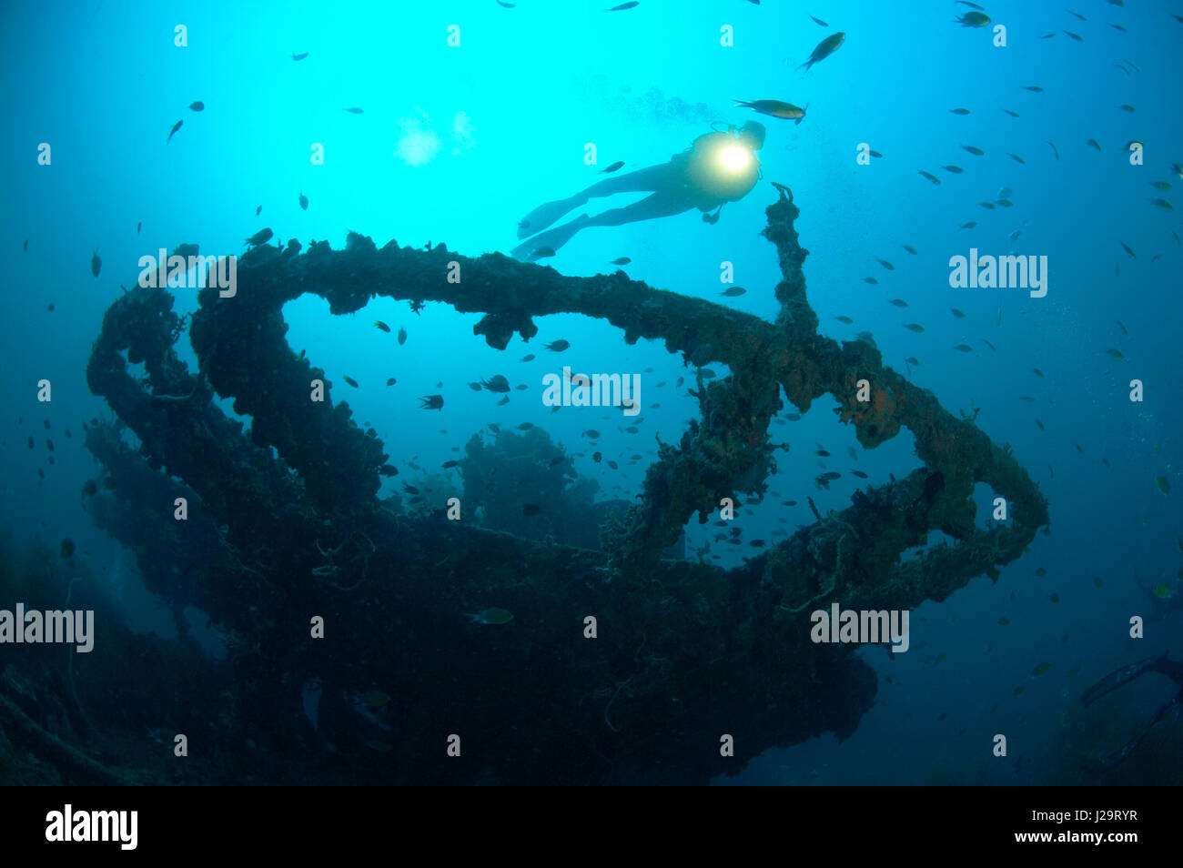 Filippine, sul Mare della Cina del Sud, Coron Bay, visione subacquea, subacqueo vicino al naufragio Irako. Non deve essere utilizzato da immersioni e tour operator. Foto Stock