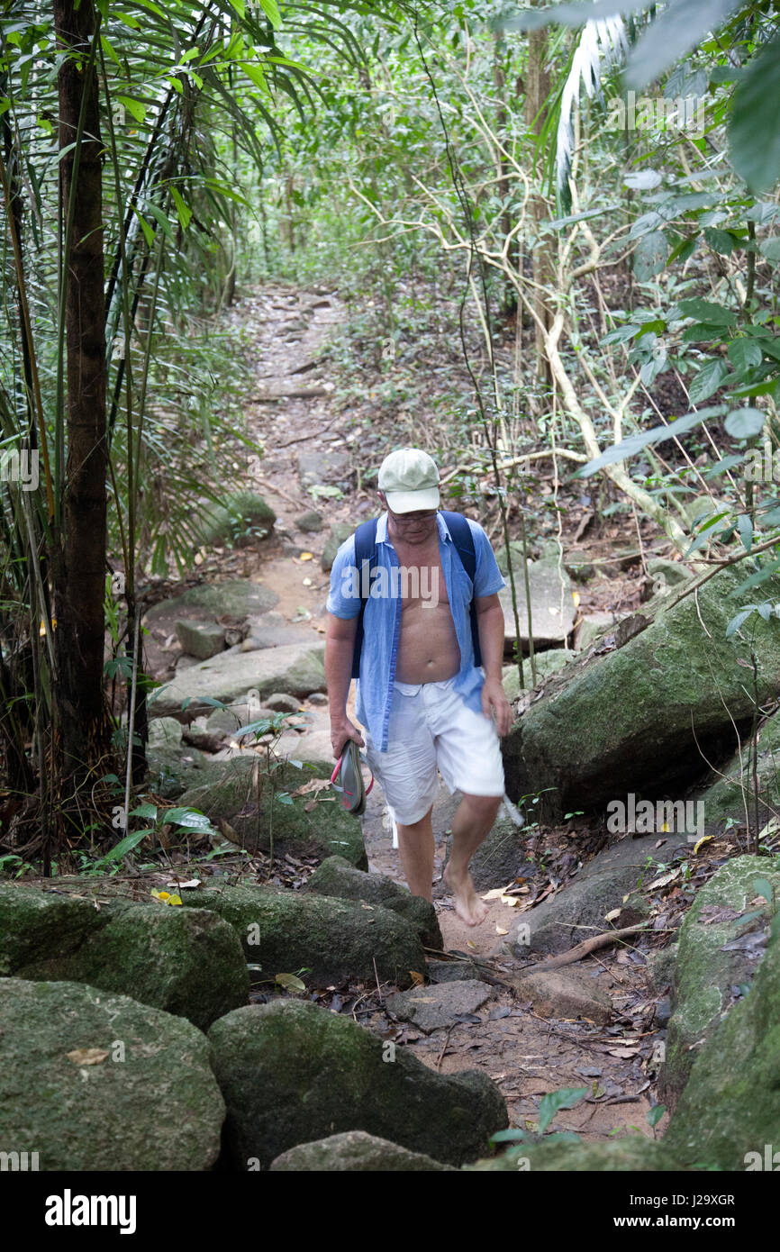 Hin Lad cascate percorso di vegetazione in Ko Samui, Tailandia Foto Stock