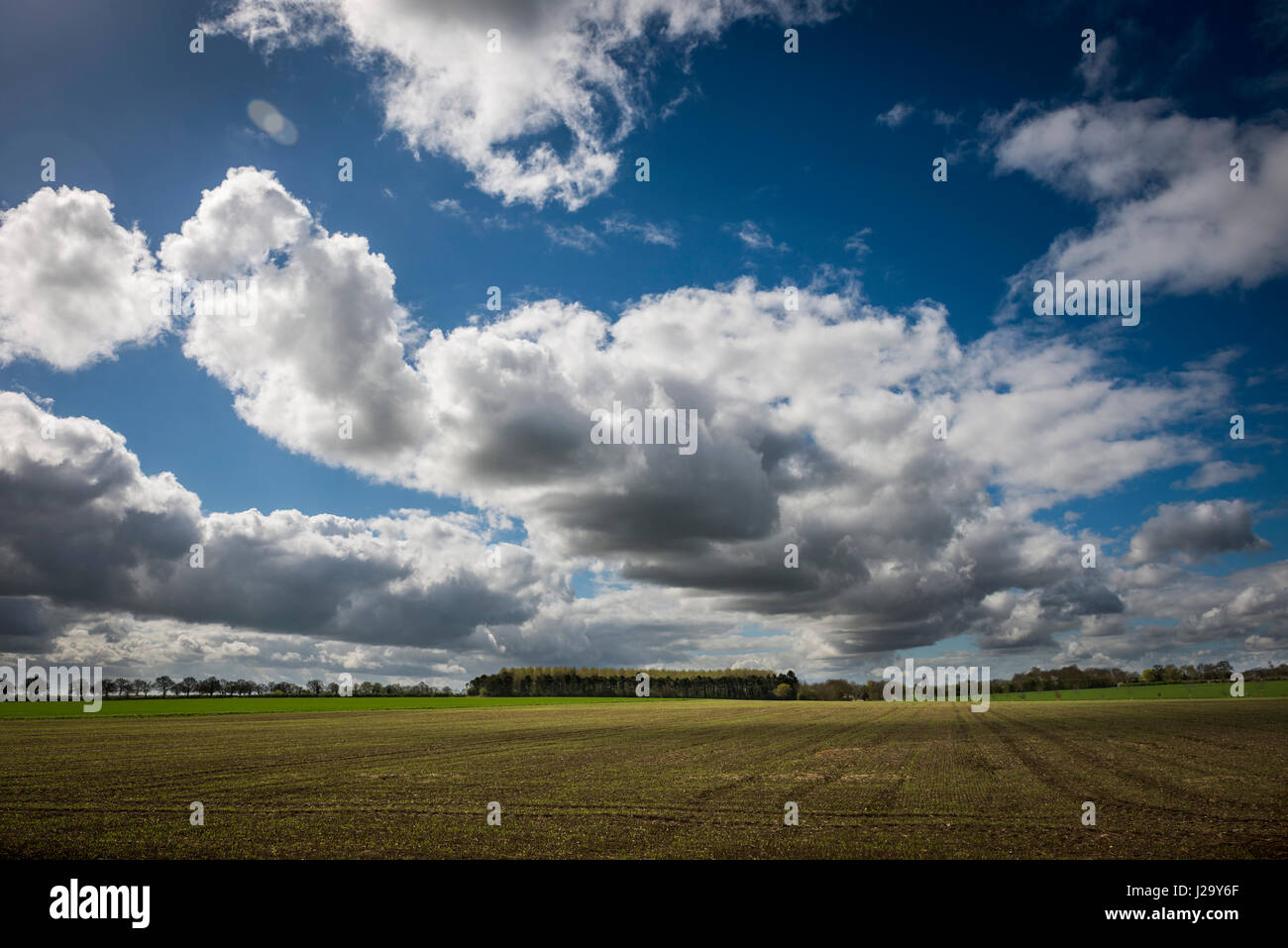 Il paesaggio piatto e grande open sky di Cambridgeshire Foto Stock