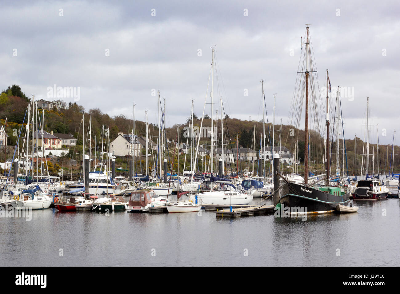 Tarbert Villaggio di Pescatori, Loch Fyne, Scotland, Regno Unito Foto Stock