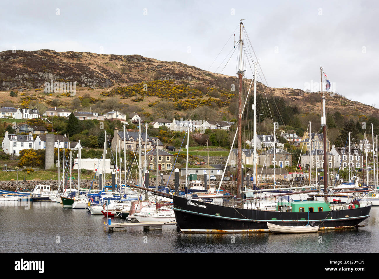 Tarbert Villaggio di Pescatori, Loch Fyne, Scotland, Regno Unito Foto Stock