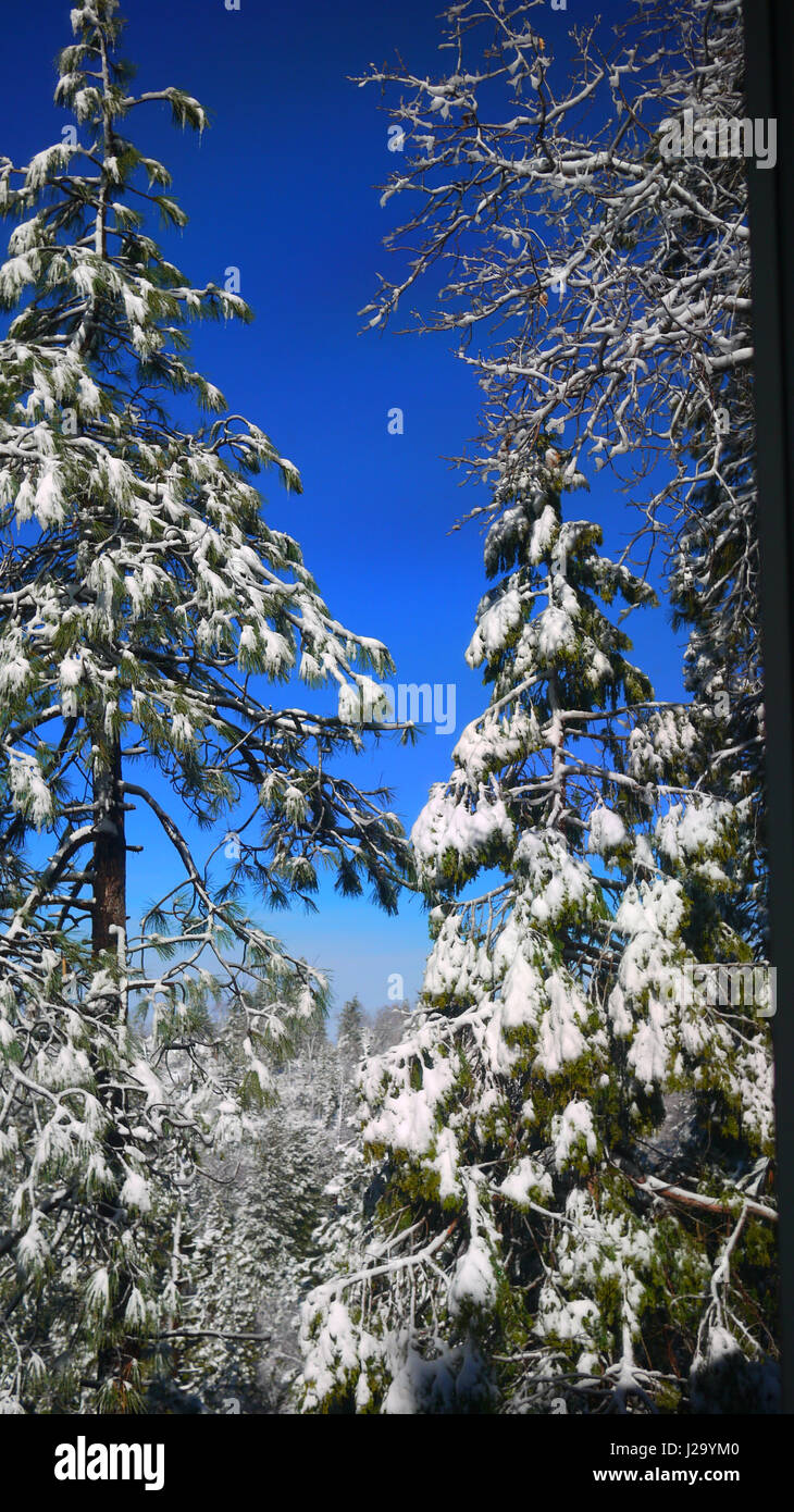 Montagna di neve Foto Stock