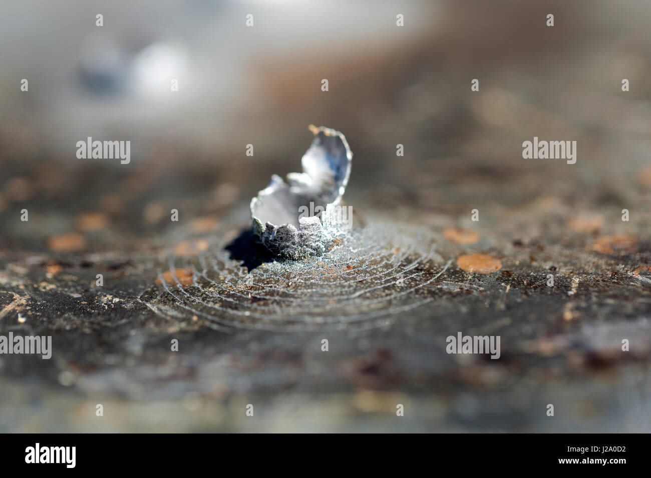 Macro shot di fori di proiettile dopo un tiro al bersaglio in una vaschetta di alluminio. Foto Stock