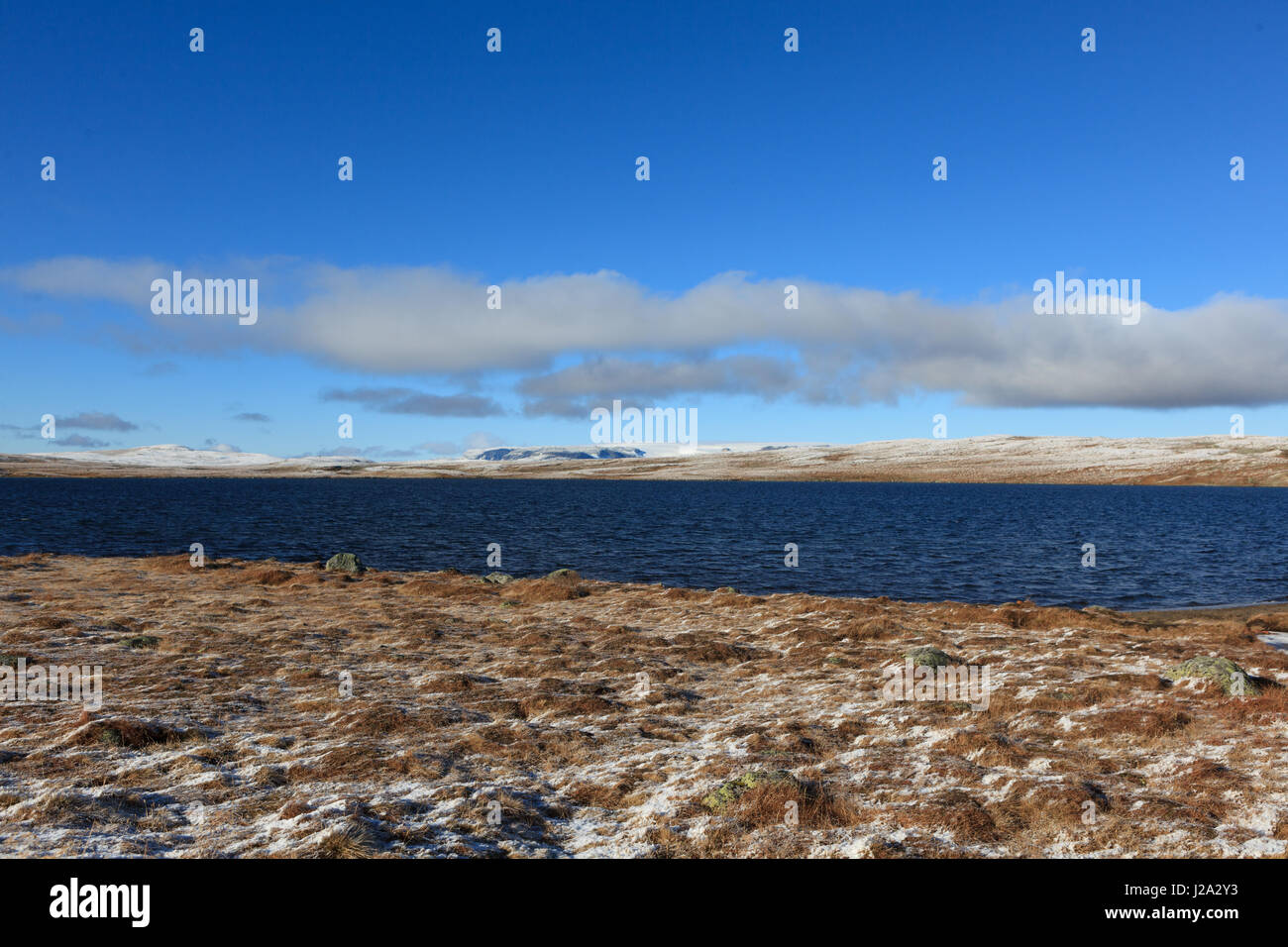 Una fredda giornata autunnale a Hardangervidda, Norvegia. Foto Stock