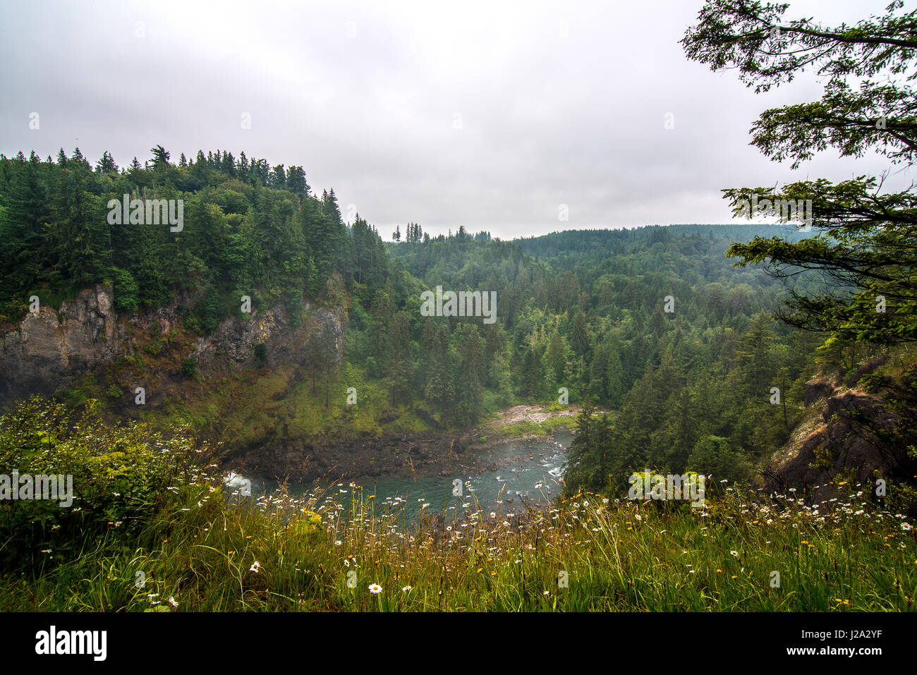 Snoqualmie Falls, Washington Foto Stock