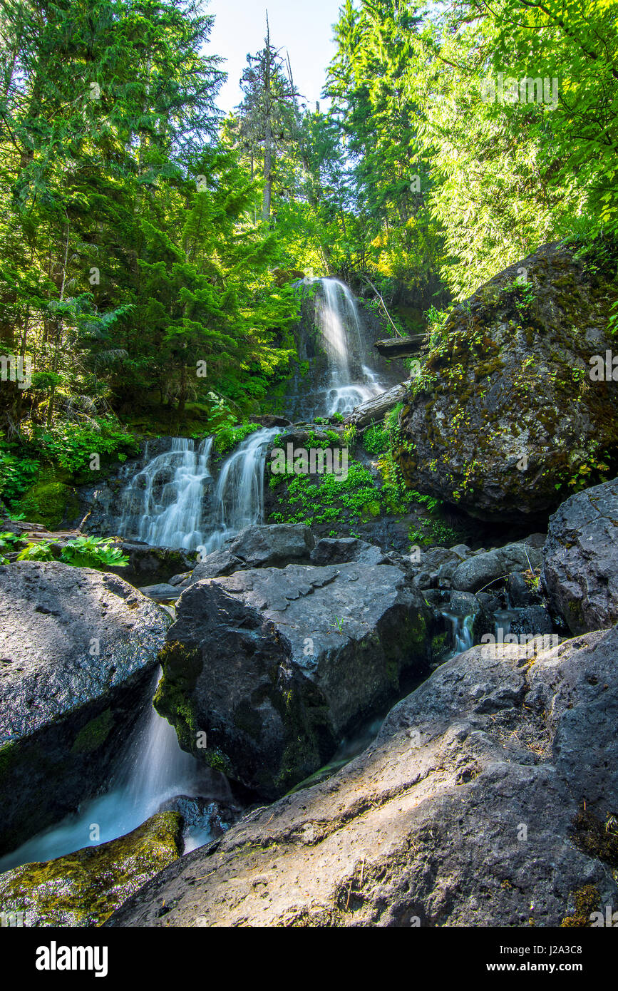 Una piccola cascata sul Monte Rainier Foto Stock