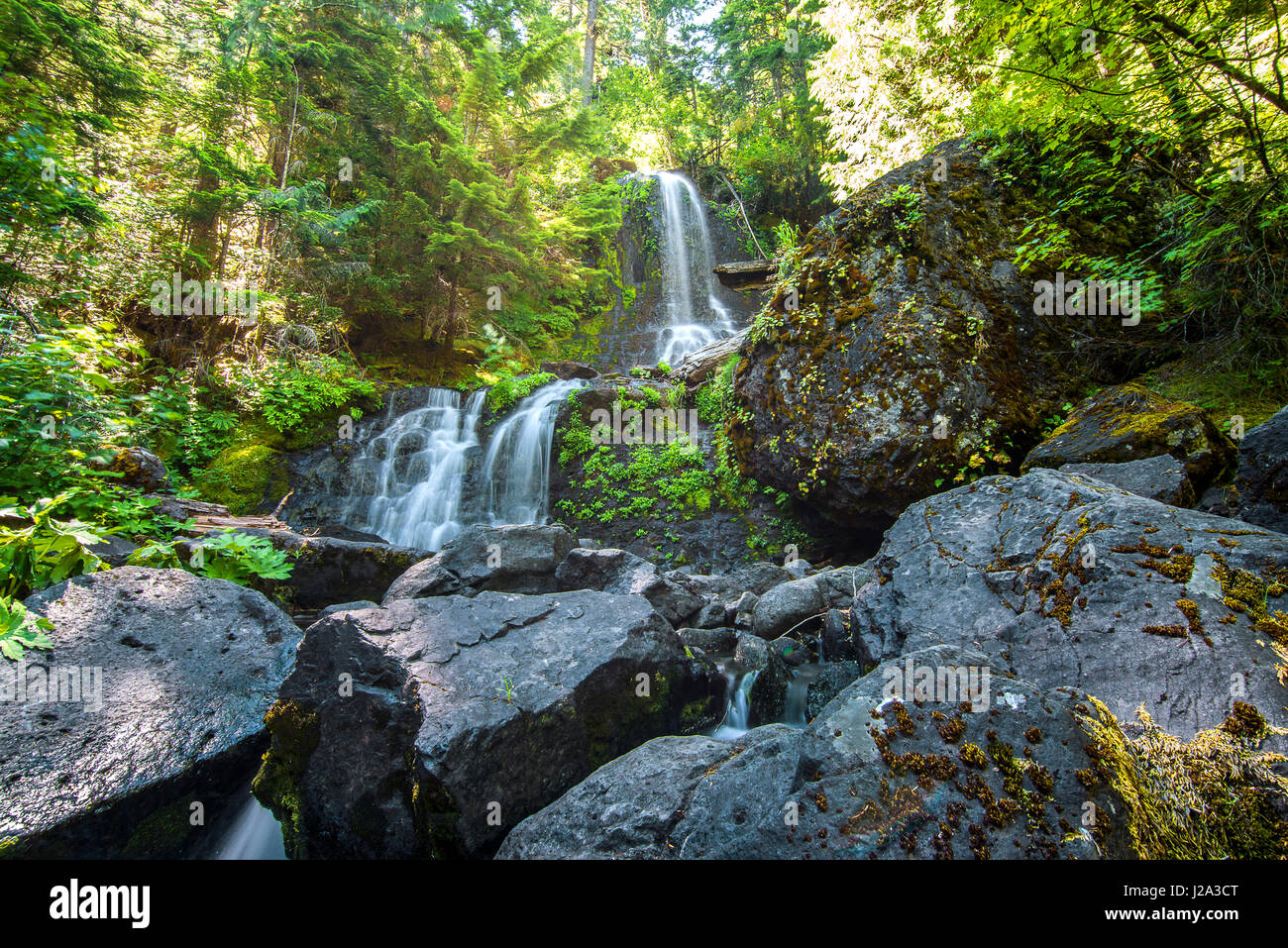 Una piccola cascata sul Monte Rainier Foto Stock