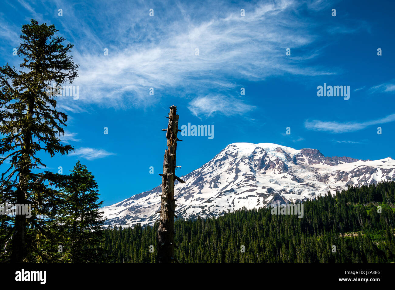 Mt. Rainier nello Stato di Washington Foto Stock