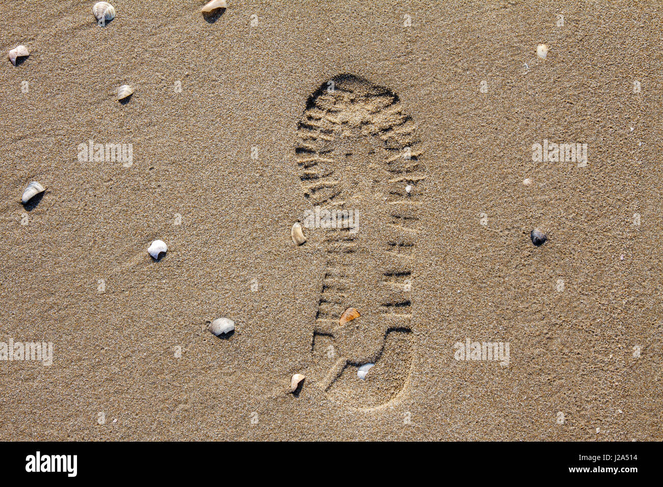 Calzatura impronta nella sabbia di una spiaggia con piccole conchiglie Foto Stock