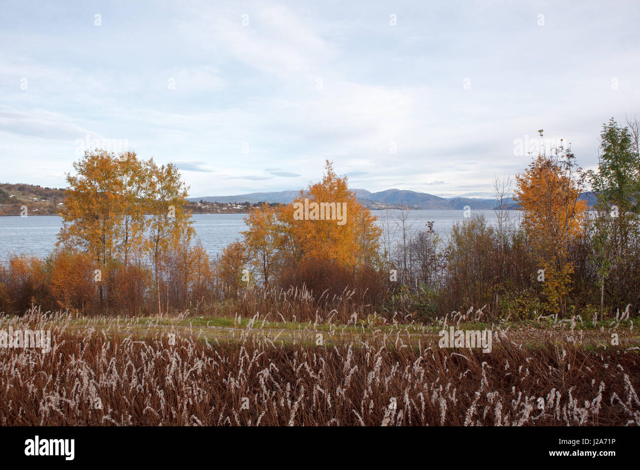 Bellissimo paesaggio autunnale a ovest della Norvegia. Foto Stock