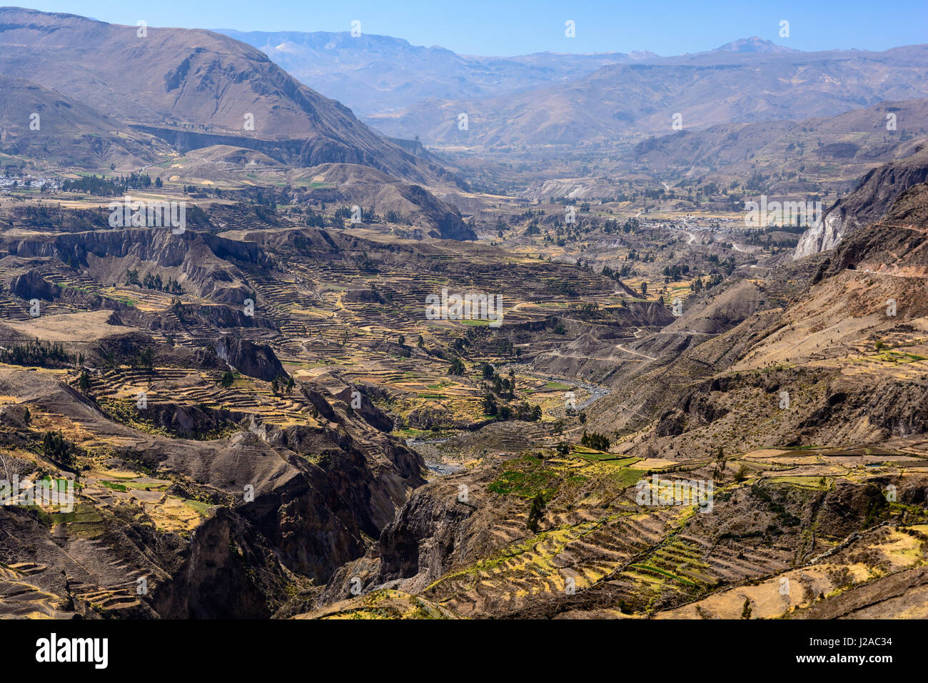 Il Perù, Arequipa, Caylloma, il Canyon del Colca Foto Stock