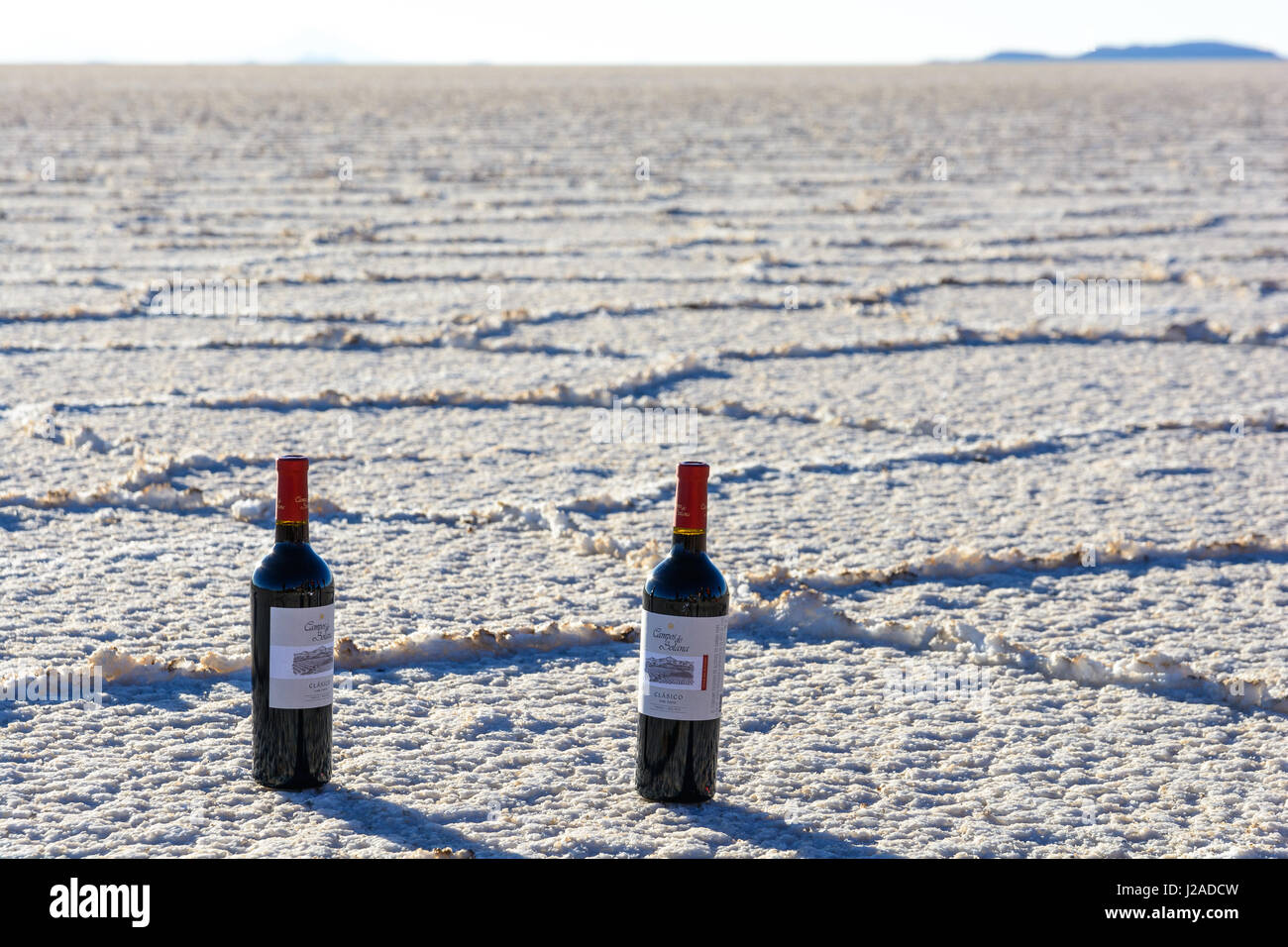Bolivia, Departamento de Potosí, Uyuni, vino boliviana sta diventando più e più popolare Foto Stock