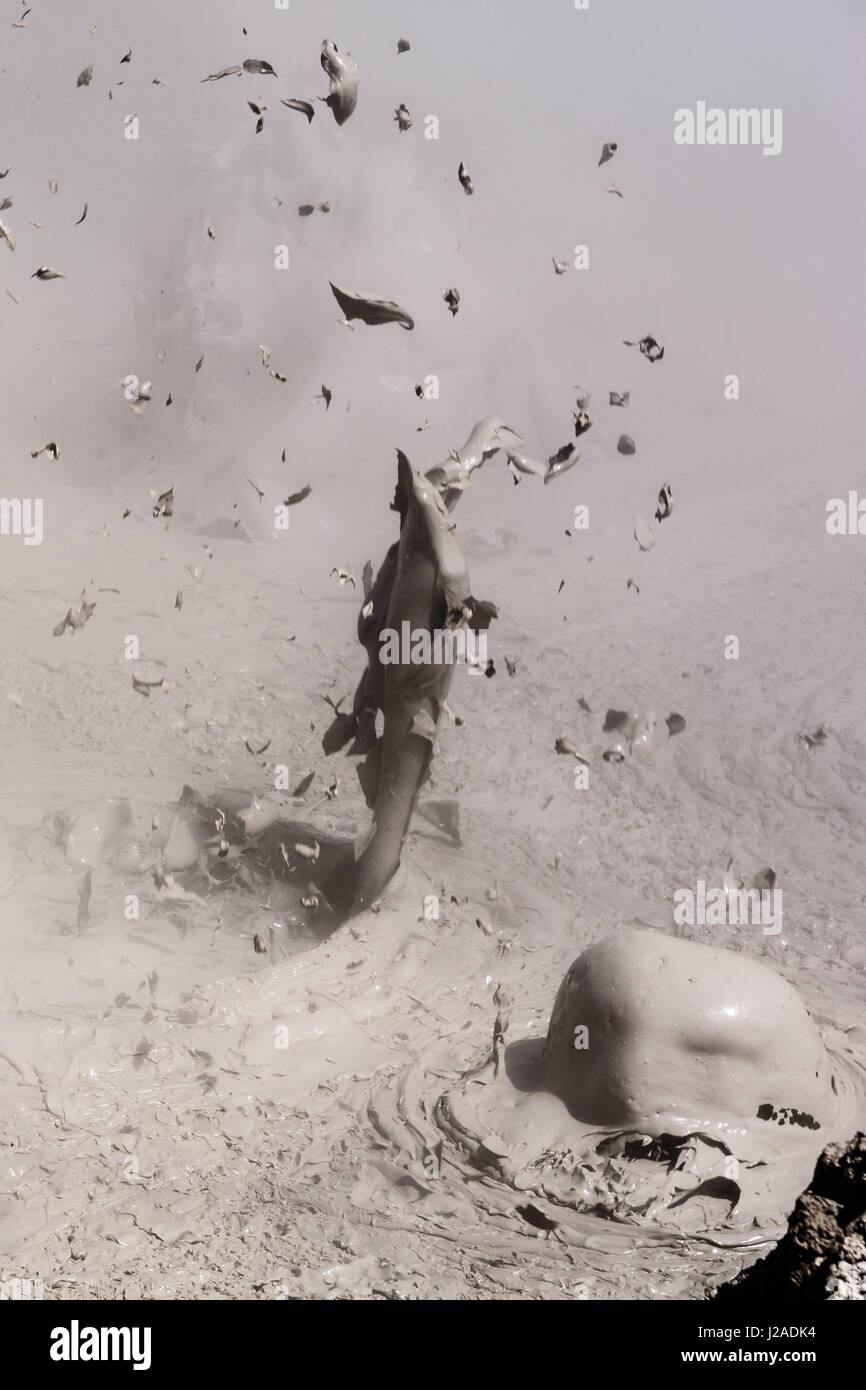 Bolivia, Departamento de Potosí, Sur Lípez, vulcano di fango a 5000 m di altitudine Foto Stock