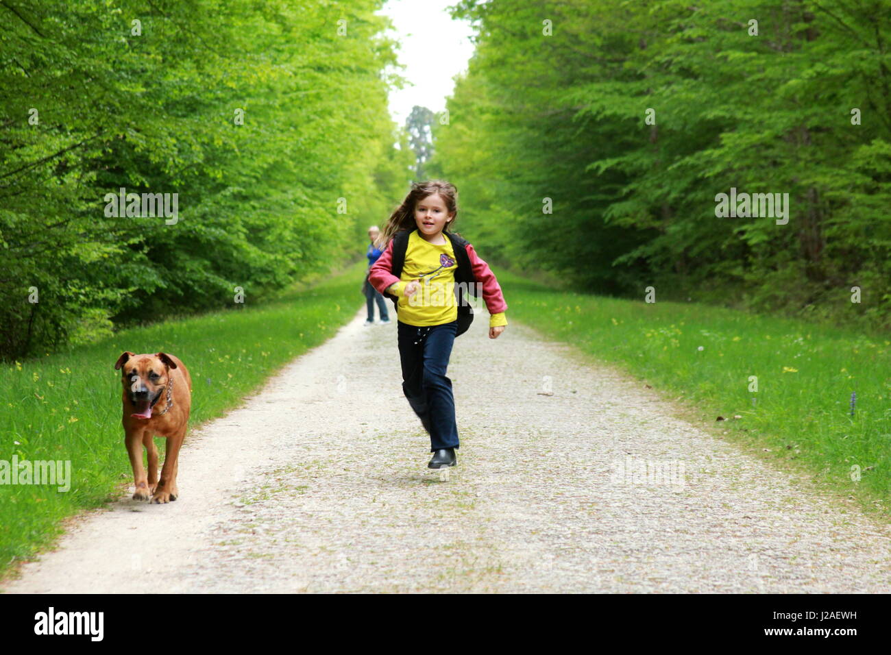 Bambini che giocano con il cane Foto Stock