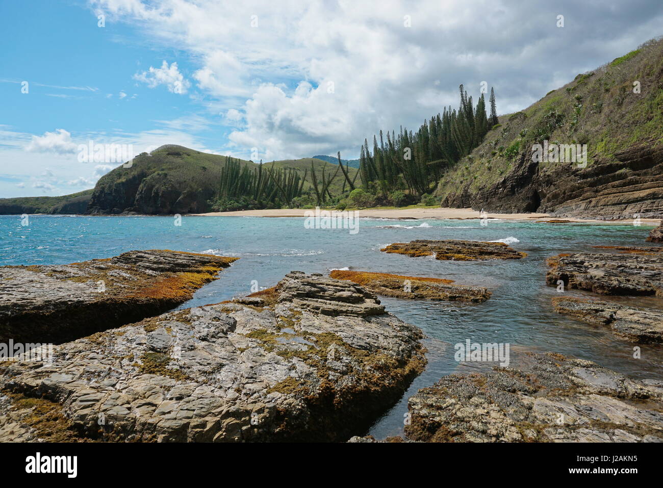 Costa della Nuova Caledonia Paesaggio, Spiaggia e rocce con Araucaria pini, Turtle Bay, Bourail, Grande Terre, l'isola del Sud Pacifico Foto Stock