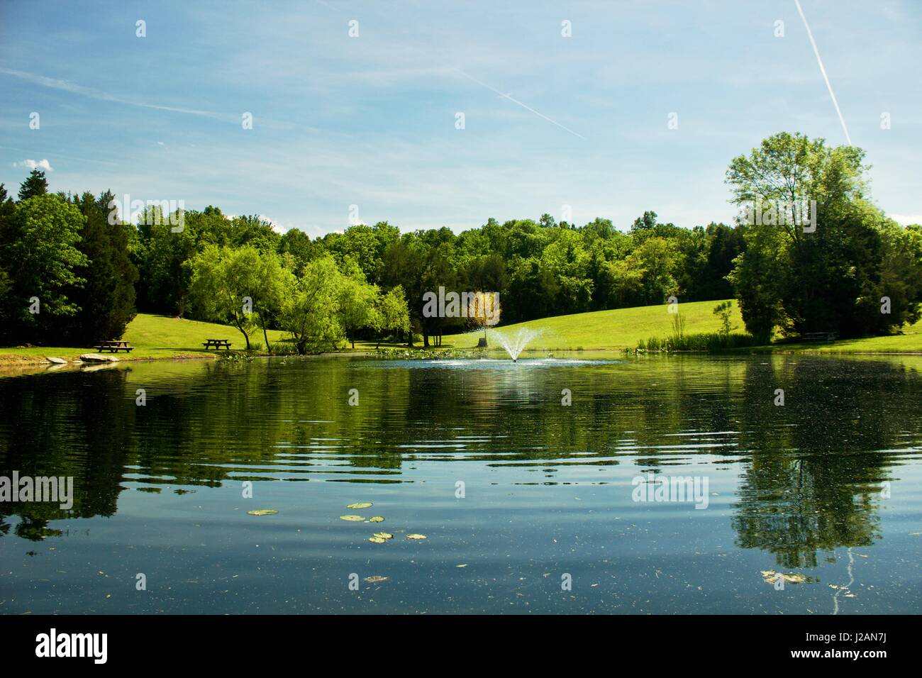 Lato lago Foto Stock