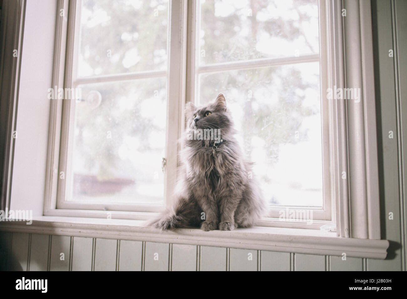 Davanzale In PVC Per Interni - 110 Cm X 25 Cm - Colore Argento - Facile Da Pulire E Installare - Foto 7