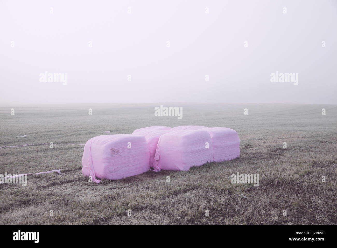 Avvolgere balle di fieno in campo su nebbioso giorno Foto Stock