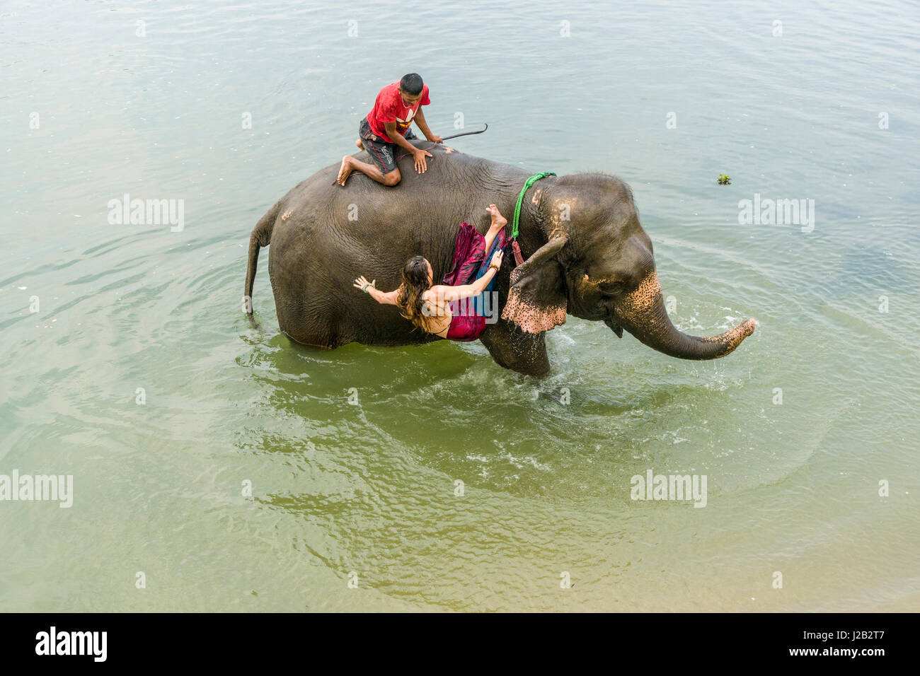 Un elefante (Elephas maximus indicus) è gettare un turista donna nel fiume rapti in Chitwan il parco nazionale Foto Stock