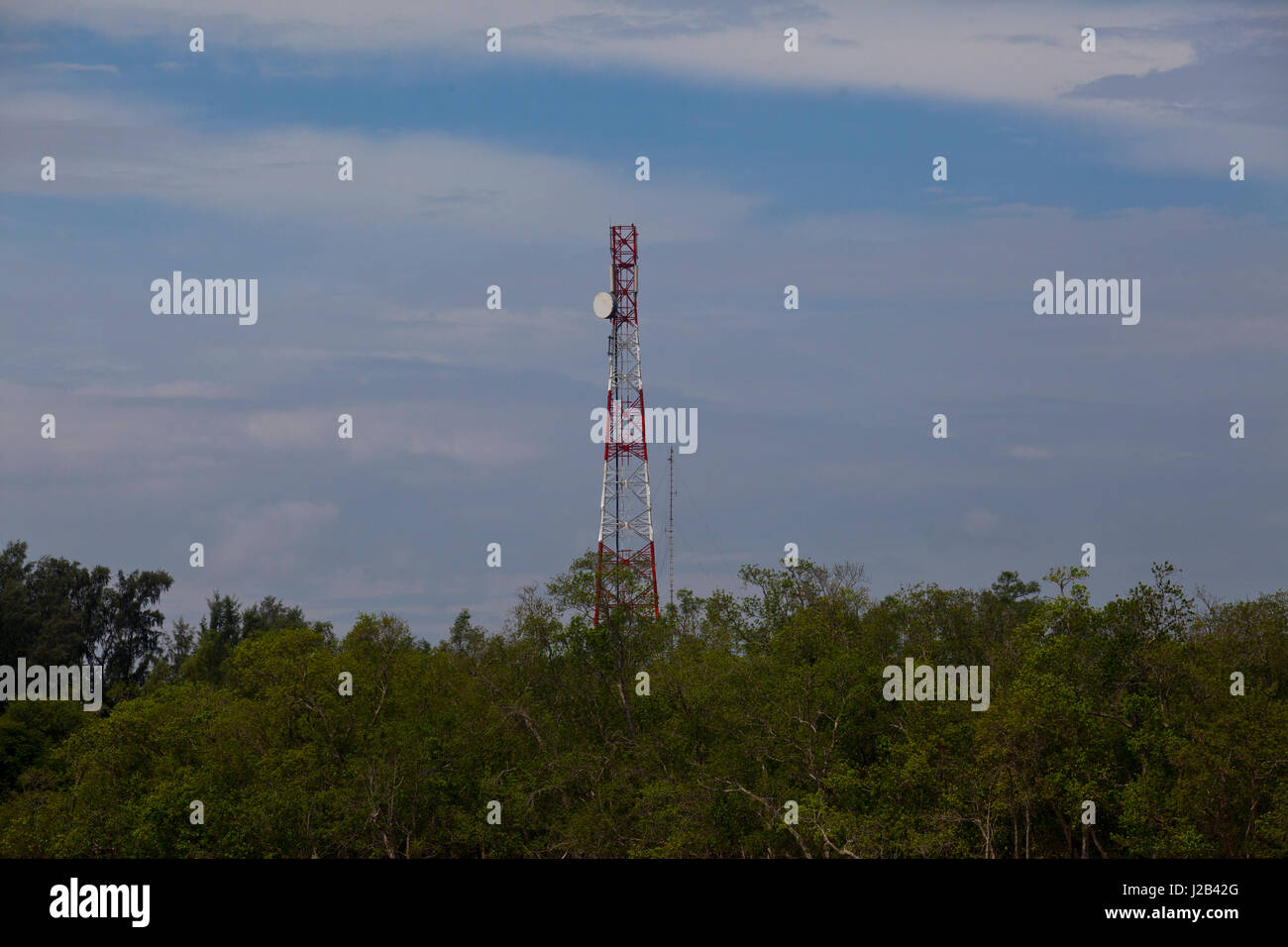 Una rete di telefonia mobile torre presso la Sundarbans, un sito Patrimonio Mondiale dell'UNESCO e un santuario della fauna selvatica. Bagerhat, Bangladesh. Foto Stock