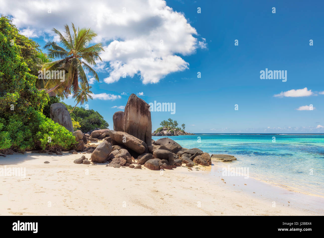 Palme e rocce sulla spiaggia di sabbia bianca, Isola di Mahe, Seicelle Foto Stock