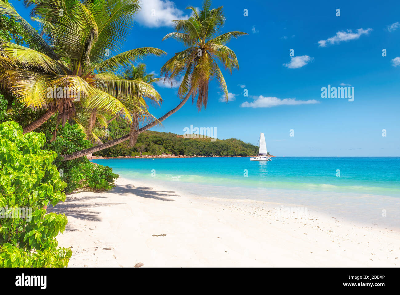 Oceano tropicale con spiaggia di sabbia bianca, palme di cocco, trasparenti acque turchesi e yacht a vela in condizioni di intensa giornata di sole/ Foto Stock