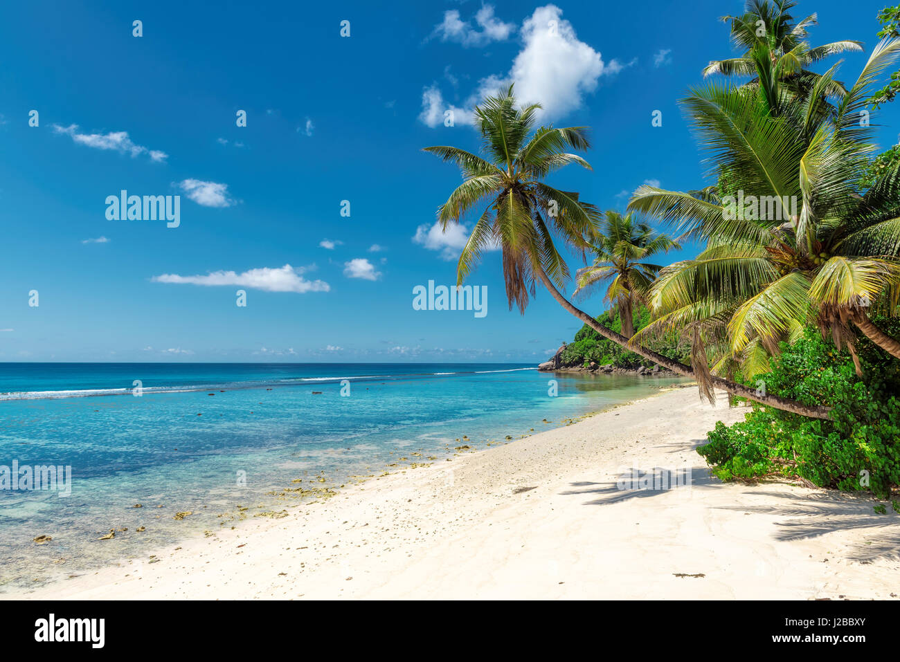 Paradise oceano tropicale con spiaggia di sabbia bianca, trasparenti acque turchesi di cocco e di palma in una luminosa giornata di sole Foto Stock