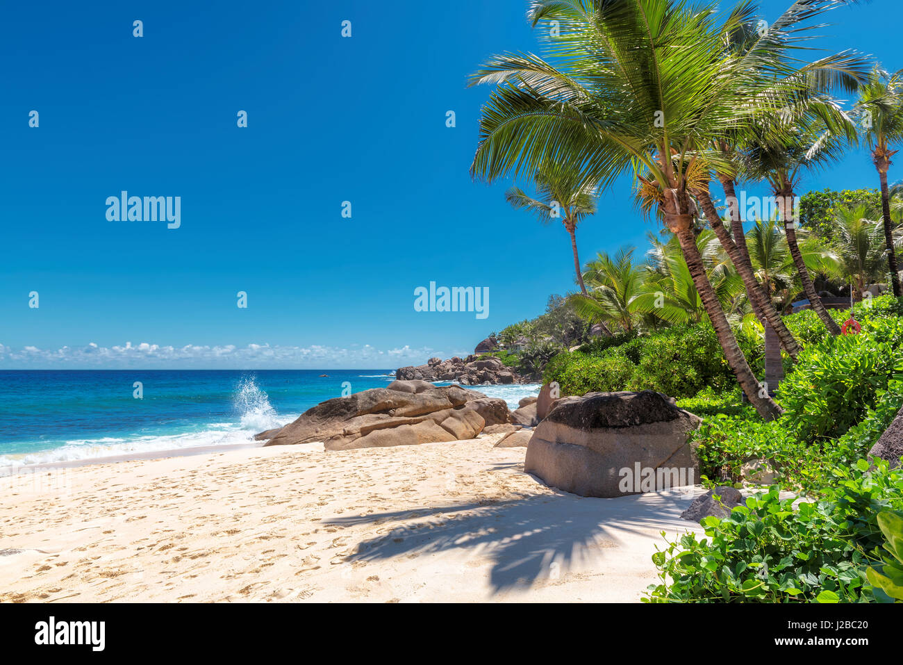 Oceano tropicale con spiaggia di sabbia bianca, trasparenti acque turchesi di cocco e di palma in una luminosa giornata di sole. Foto Stock