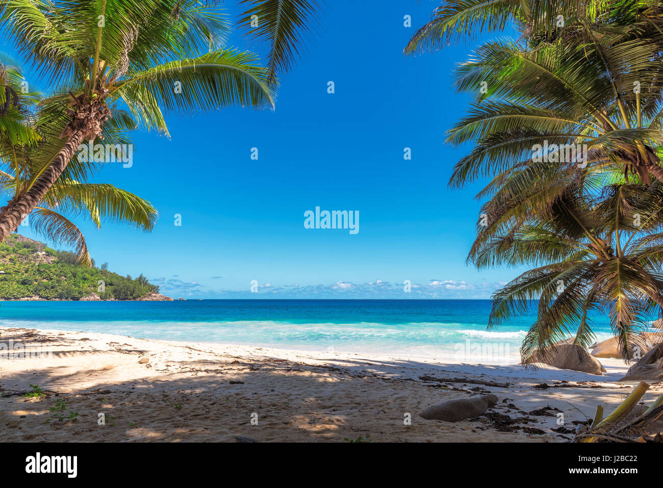 Oceano tropicale con spiaggia di sabbia bianca, trasparenti acque turchesi di cocco e di palma in una luminosa giornata di sole. Foto Stock