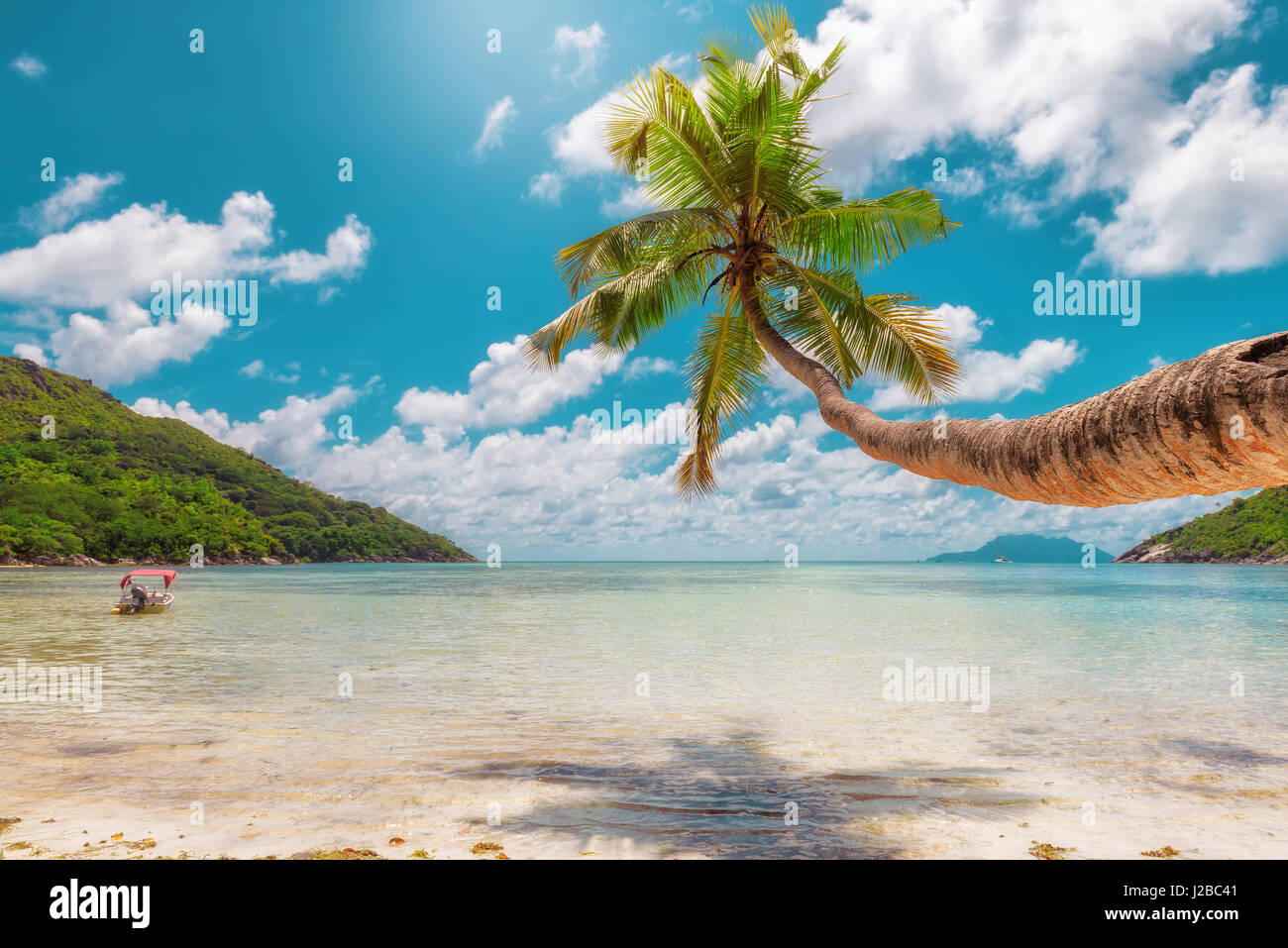 Tropical Ocean Beach con noce di cocco Palm tree in una luminosa giornata di sole. Foto Stock